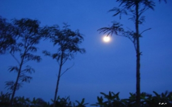 Thần táo